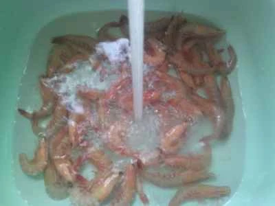 ピクルスにしたカラシナのソースで蒸した2つの珍味：ステップ3