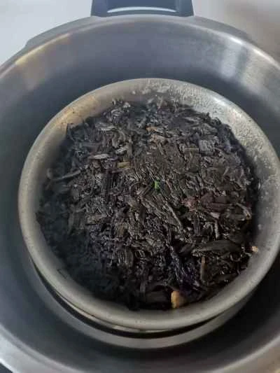 大晦日のディナーに欠かせない一品：電気グリドルで作る、塩漬けカラシナ入り豚肉の煮込み - 7つのステップ