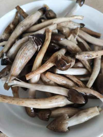 オリジナルフレーバーのライチマッシュルームを作る手順：1