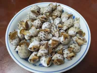 小さなカタツムリを作る手順：5