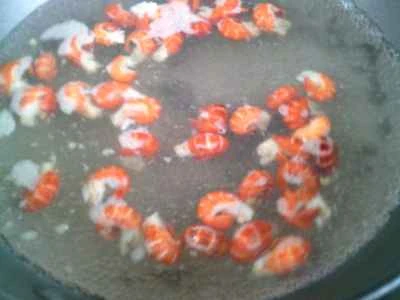 ロブスターテールウシガエルの調理手順：4