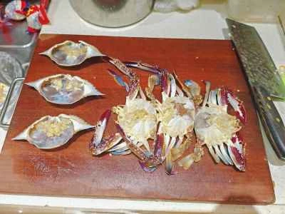 台風シェルタースイミングクラブの作り方：1