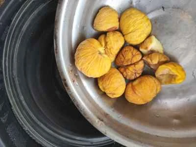 蒸し鶏と栗のレシピ手順：5