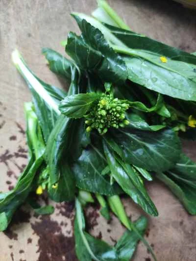 豚肉の皮と白菜の炒め物の作り方：2