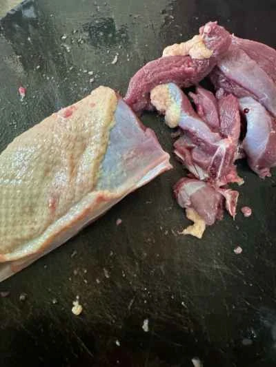 乾燥豆腐入り鴨肉の煮込みの作り方：2