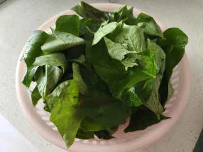 サツマイモの葉と赤唐辛子の炒め物の作り方：4