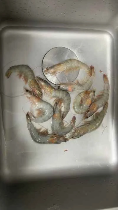 エビの煮込みの作り方：1