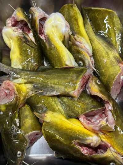 春雨入り黄ナマズの煮込みの作り方：2