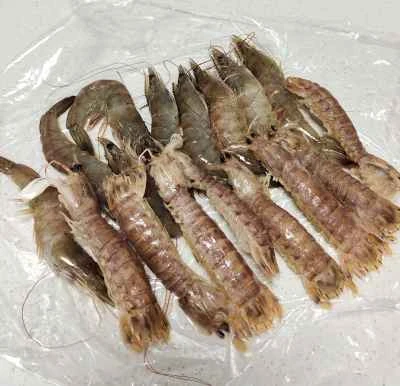 ゆでエビとシャコの作り方：1