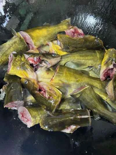 卵と豆腐入り黄ナマズの煮込みの作り方：7