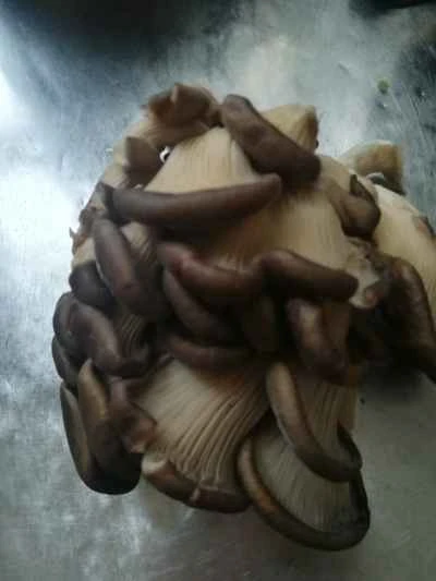 豚肉炒めの作り方：1