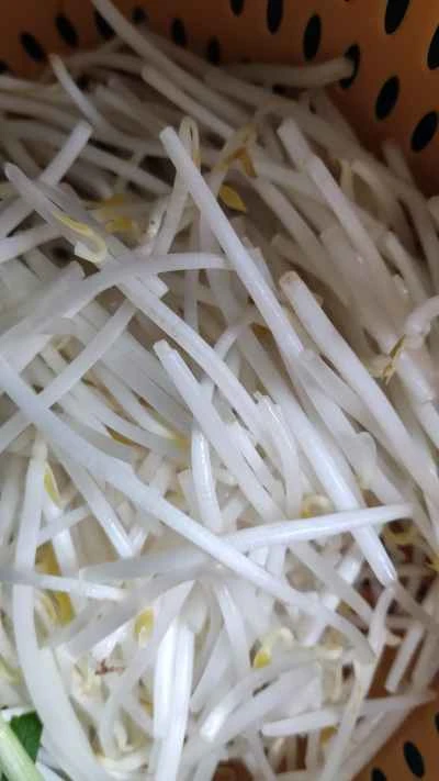 緑豆もやしとニラの炒め物の作り方：1