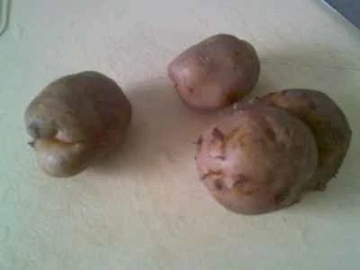 ラムテールたけのことジャガイモを一晩煮て花が咲くまで煮る手順：7