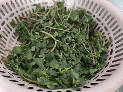 乾燥豆腐シートとスベリヒユの炒め物の作り方：1