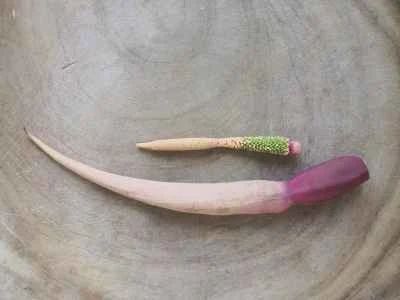 ナスとサトイモの花の作り方：2