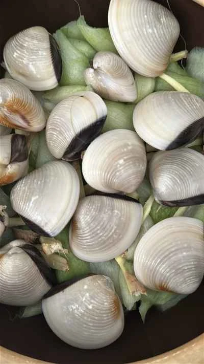 タロイモとカタツムリのシチューの作り方：3