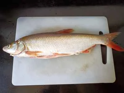 蒸しシラスのレシピ手順：1