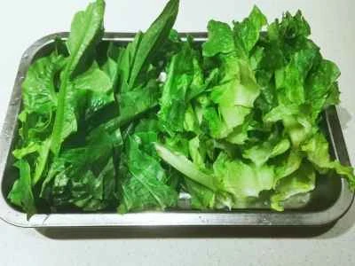 フォアグラ焼きレタスの作り方：1