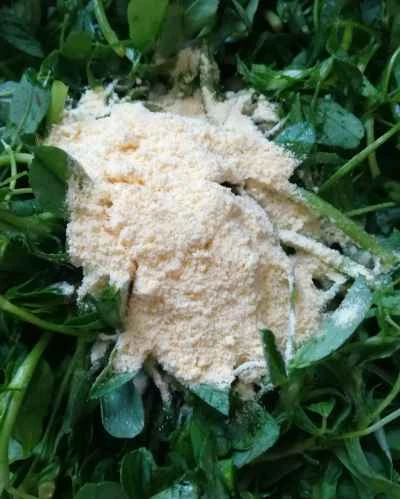 蒸しアルファルファのレシピ手順：4