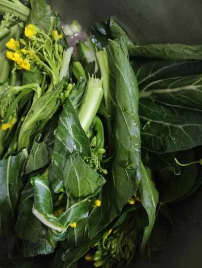 塩漬け晩生白菜の作り方：2