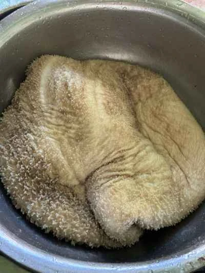 炒めた胃袋を作る手順：1