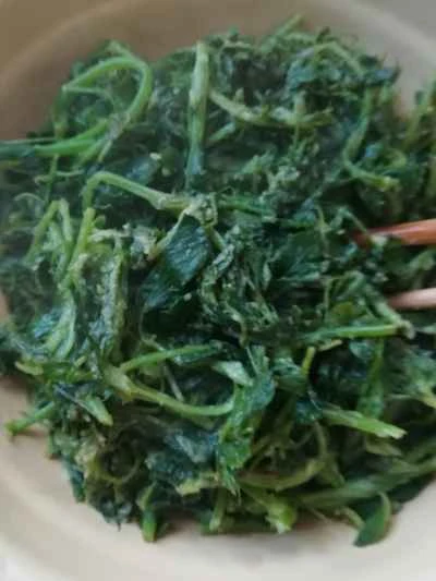 蒸しアルファルファのレシピ