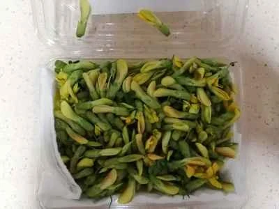 ホウキバナ卵炒めの作り方：1