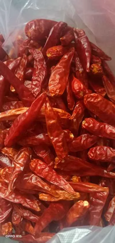 家庭風ゆでキュウリのレシピ手順：3