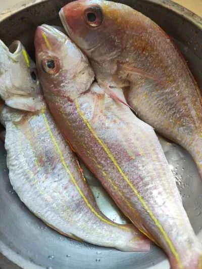 レッドスナッパーのソテーレシピ手順：1