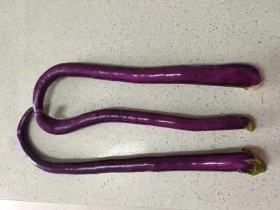 ニンニクナスの作り方：2