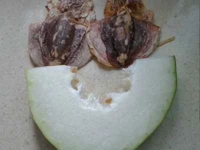 冬瓜入りイカ煮の作り方：1