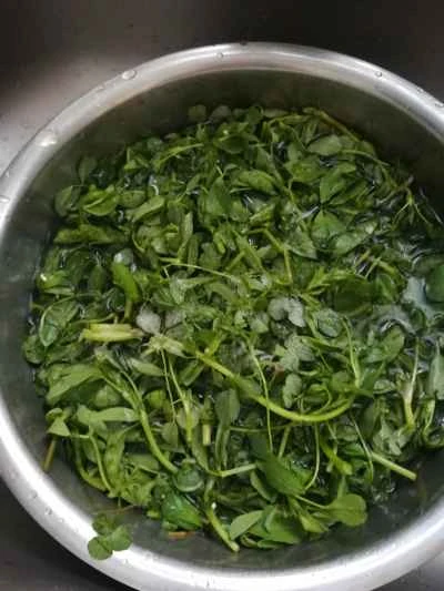 蒸しアルファルファのレシピ手順：1