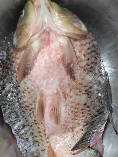 焼き魚の作り方：4