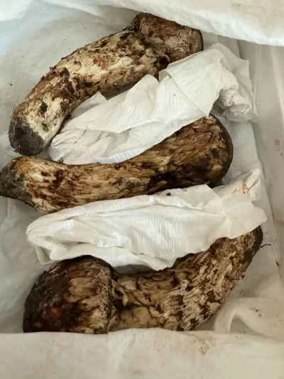 松茸のバター炒めの作り方：1