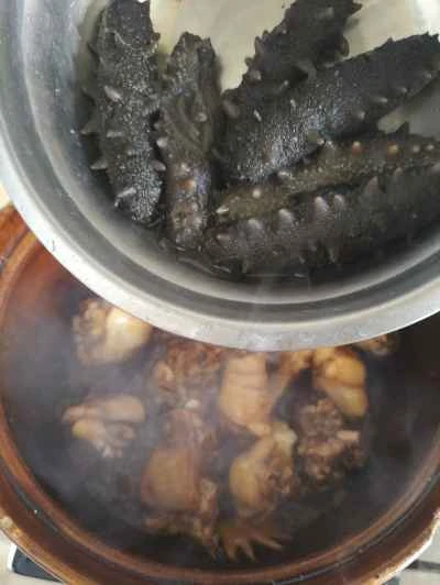 ナマコ入り鶏肉の煮込みの作り方：7