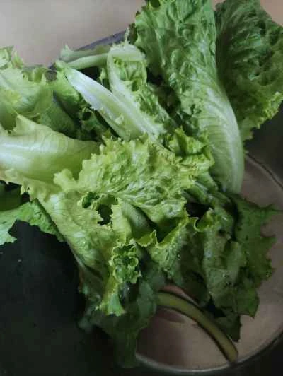 野菜茶の作り方：1