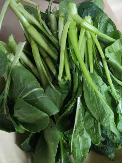 豚肉と白菜の炒め物を作る手順:1