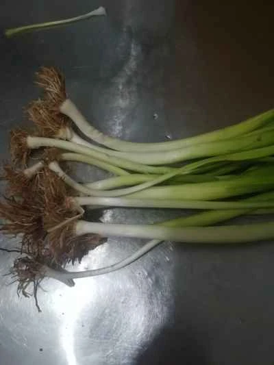 鶏胸肉とネギの炒め物の作り方：1