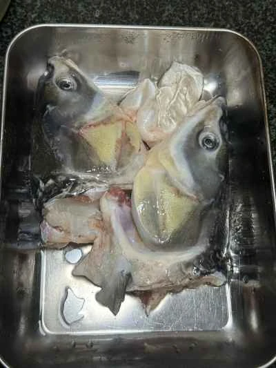 アサリ入り魚の頭煮込みの作り方：1